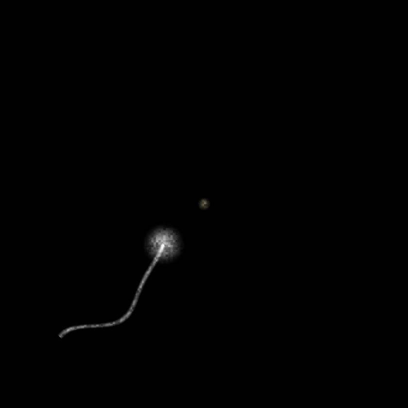 The Chase — a living, generative dream symbol